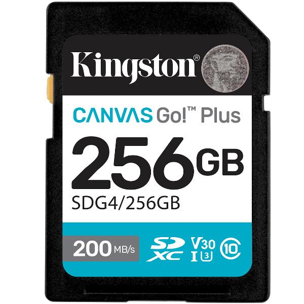 KIN_MF_MY1_1094051_SDG4256GB_b47d1045-95e3-4c26-b8c5-e6102dcbe8c5_BIG