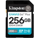 KIN_MF_MY1_1094051_SDG4256GB_b47d1045-95e3-4c26-b8c5-e6102dcbe8c5_BIG
