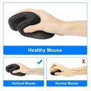 EQP_TM_TK3_1101696_245119_99e85526-6c5a-42ed-9bb5-8ba0edc54033_BIG