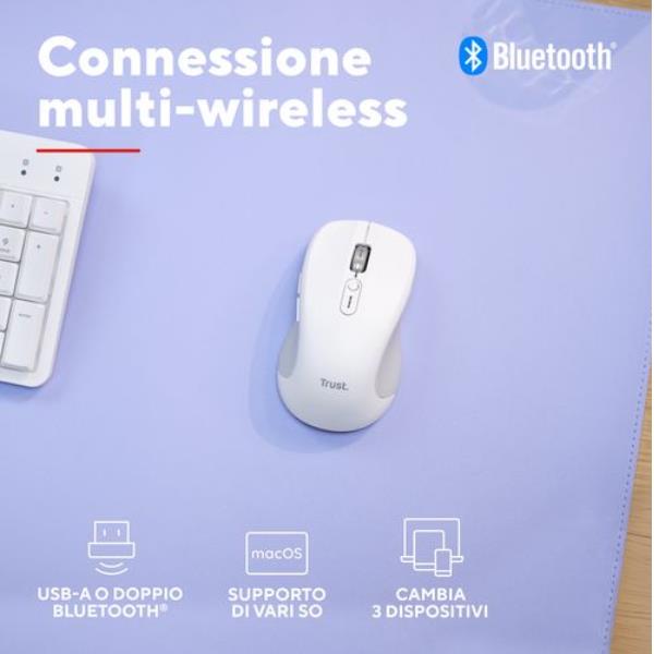 TRS_TM_TK6_1146894_25674_1b8117c6-5782-4c0c-a024-a97bbeb4bab1_BIG