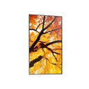 NEC_MN_MN5_1146712_60006052__59a2a6bb-5175-4102-b057-3c3eba09b8c3