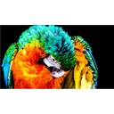 DE1_NO_NDE_1120789_9YJ31__c7dff89f-821a-42f8-8ebf-897759e8237a