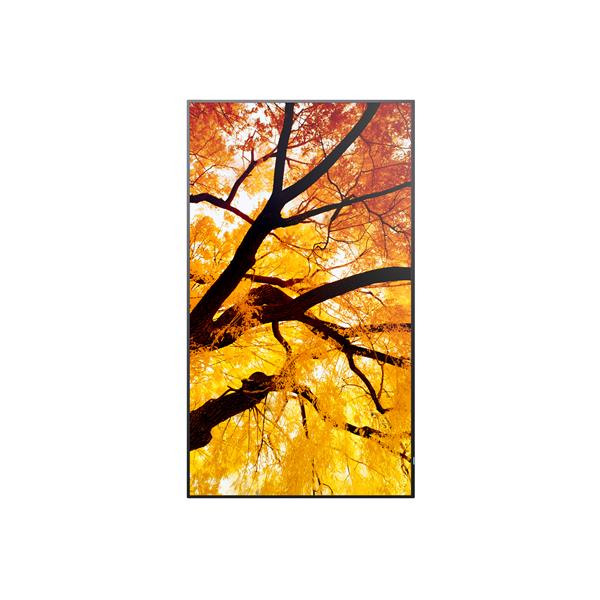 NEC_MN_MN5_1146712_60006052__cb929c2b-9d60-4d52-8ae5-52f5c7c6f39c