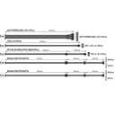 YNO_CC_CD8_1078027_FAL751FSP12_999bf4fe-79a8-4359-9e34-ea84e7a34f20_BIG