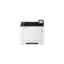 KYO_QF_P2B_1058201_110C253NL0__8c122e0a-7621-41c1-873b-c8f78ca4db6b