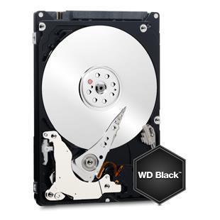 WDG_MM_229421_WD2003FZEX_1_Particolari_BIG