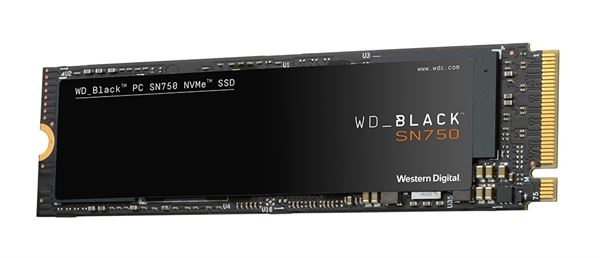 WDG_H1_590189_WDS500G3X0C_Particolari_BIG