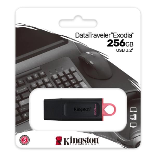 KIN_MH_MMO_677417_DTX256GB_f99bb872-a1a1-4ffa-b88b-a500b1728913_BIG
