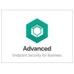 KAE_VF_YC2_690322_KL4867XAMTR_1e747a05-a742-460a-af0f-b266aaecf998_BIG