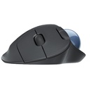 LOG_TM_TK3_722498_910-005872_ab23fcb9-d5d3-4f31-b2c2-2745113b5ed2_BIG