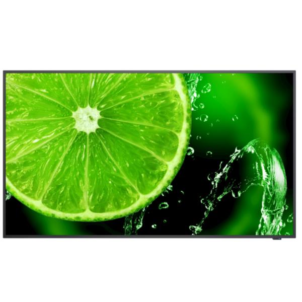 NEC_MN_MN5_735251_60005052_70161f02-85fc-41fc-96cf-291a8102aa19_BIG