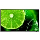 NEC_MN_MN5_735251_60005052_70161f02-85fc-41fc-96cf-291a8102aa19_BIG