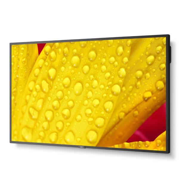 NEC_MN_MN6_734319_60005057_52c10525-42a8-417a-84cc-25130affda5a_BIG