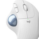 LOG_TM_TK3_784371_910-006221_c8768393-beaa-4069-878d-1da0296328f9_BIG