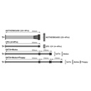 YNO_CC_CD1_782274_FAL506FS12B_718ff5ac-462b-4351-8b63-eb1c9854296b_BIG