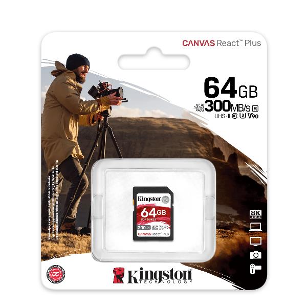 KIN_MF_MY1_819705_SDR264GB_6e26fdba-7c5c-44b3-b560-97634be6f8b6_BIG