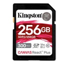 KIN_MF_MY1_819704_SDR2256GB_1342fd49-ef42-43b7-9aea-9762c1b75e44_BIG