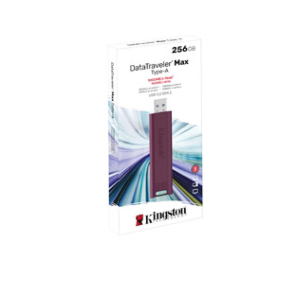 KIN_MH_MMO_841333_DTMAXA256GB_dbf2464f-4eb6-48ad-a3bb-e3d9dd63e058_BIG