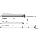 YNO_CC_CDZ_917013_FAL501HSB_a8ee5acf-24a1-461b-931b-8675e635642c_BIG