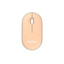 PNE_TM_TK6_977253_PT-MS001E_cf70ba09-a4fd-4fa4-b481-8878da9a6a40_BIG