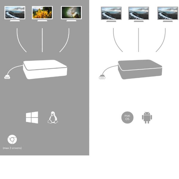 ITC_AN_AN1_1005301_C31FLATPRO100_48ad7771-952a-4f3d-a55f-5343b1211ec2_BIG