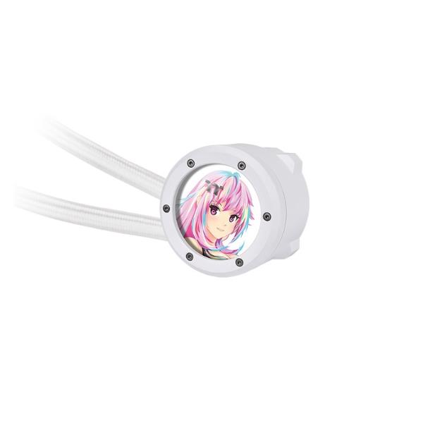 TTK_DP_DP2_1007532_CLW426PL12SWA_a528a9ee-5598-4ea2-880d-e49b8a6bc338_BIG