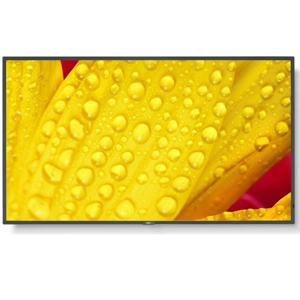 NEC_MN_MN6_1054701_60006086_fae6d7f5-e39b-4041-bed6-60ea94b753a8_BIG