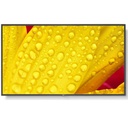 NEC_MN_MN6_1054701_60006086_fae6d7f5-e39b-4041-bed6-60ea94b753a8_BIG