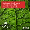 XER_QF_QF0_1016898_B625V_DN__2298062d-c7e1-4f5d-af6b-4fb67270997c