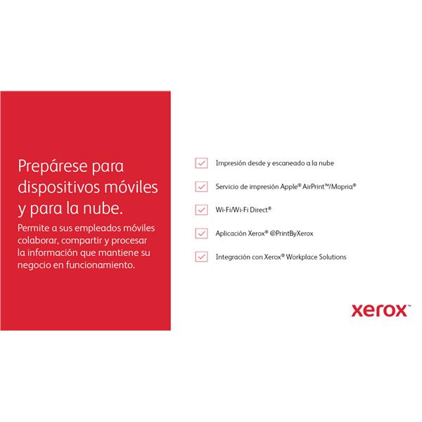 XER_QF_QF0_1016898_B625V_DN__ba8f68a0-dfdb-4762-93ee-7707e8164955