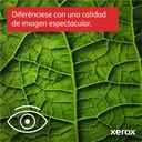 XER_QF_P0B_1042351_B625V_DN__8256d7c3-54c4-4f8f-b133-e0c0c9db3090