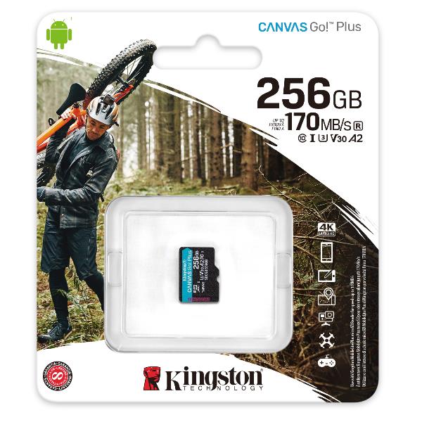 256GB MICROSDXC CANVAS GO PLUS