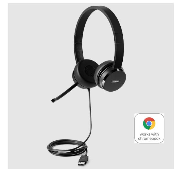 LENOVO 100 USB STEREO HEADSET