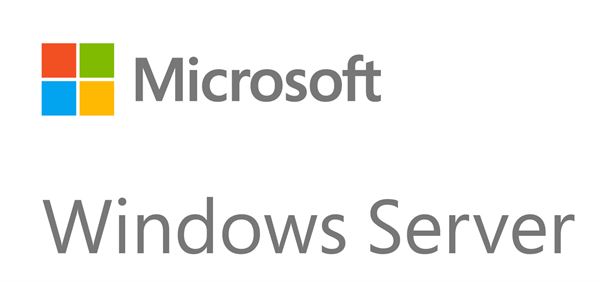 WINDOWS SERVER CAL 2019 IT 5DEV CAL