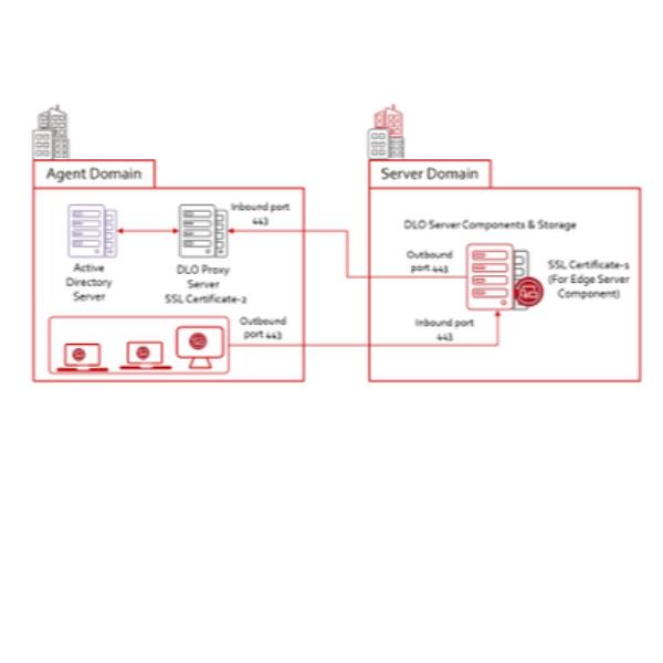 DLO 10USR LIC+ESS MNT 36MO CORP