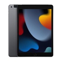 IPAD WI-FI CL 256GB SPG