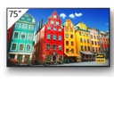 4K 75 ANDROID PROFESSIONAL BRAVIA