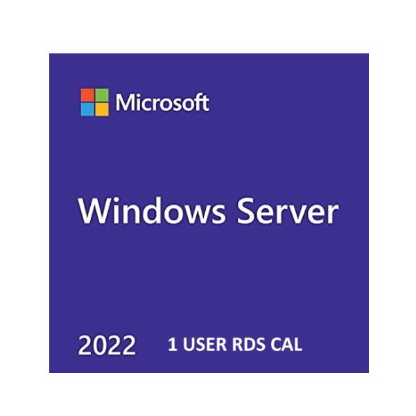 WINSVR 2022 RMTDSK SVCS CAL(1 USER)