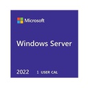 WINDOWS SVR 2022 CAL (1 USER)