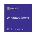 Windows Svr 2022 Cal (1 user)