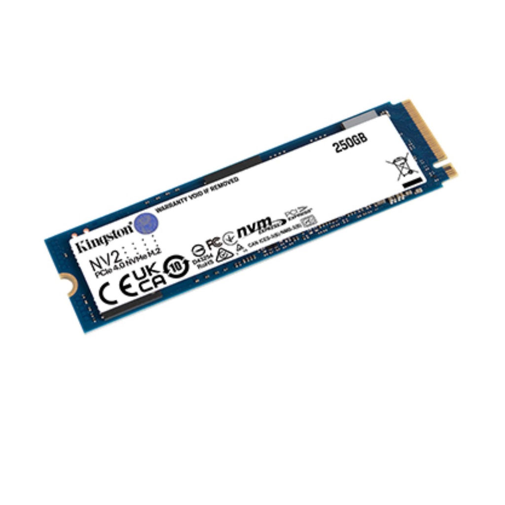 250G NV2 M.2 2280 NVME SSD