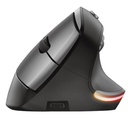 BAYO ERGO WIRELESS MOUSE ECO