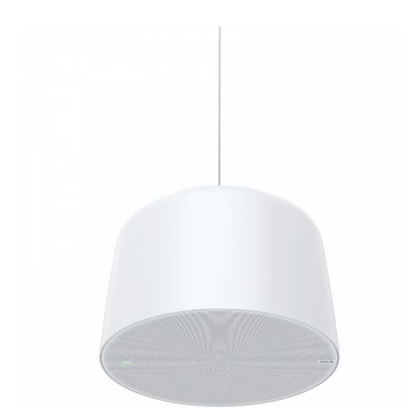 AXIS C1510 NETWORK PENDANT SPEAKER