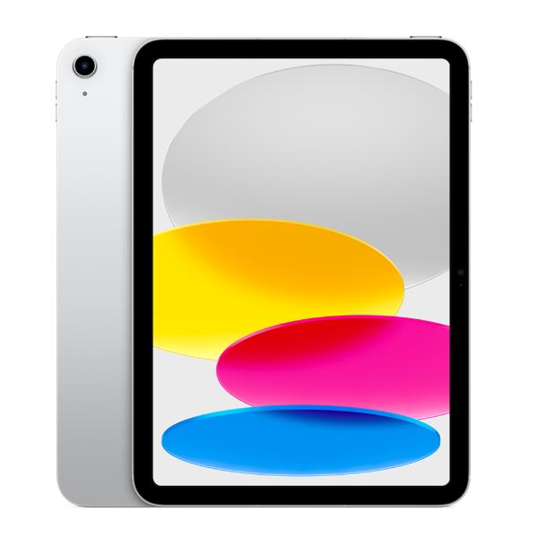 IPAD WI-FI 256GB SLV