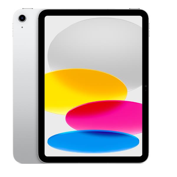 IPAD WF CL 256GB SLV