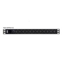 12-OUTLET 1U BASIC PDU (16A) (12X C