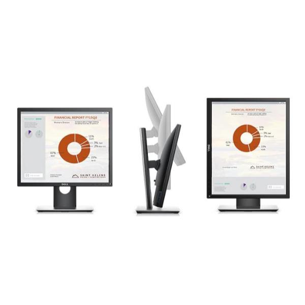 DELL 19 MONITOR - P1917S