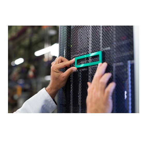 HPE ML110 GEN11 NS204I-U ENABLE KIT