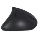 MOUSE WIRELESS VERTICALE