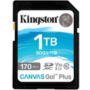 1TB SDXC CANVAS GO PLUS 170R